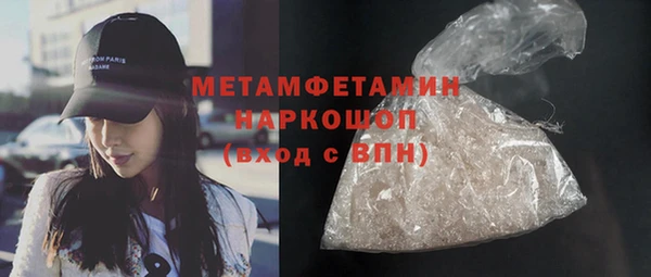гидра Арсеньев