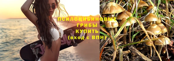 СК Алексин