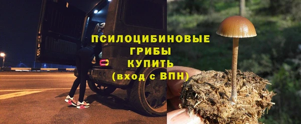 гидра Арсеньев