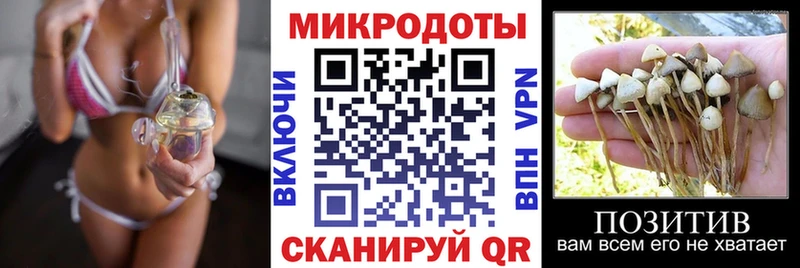 Псилоцибиновые грибы мухоморы  Бежецк 